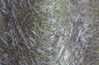 Penruddock fibreglass roof work